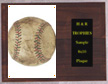 Image Softball Plaques H Series